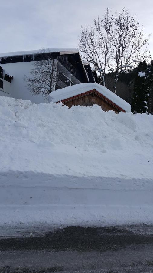 Fewo Friado Im Ferienpark Oa - Ohne Zusatzkosten Nach Anreise - Mit Hallenbad, W-Lan, Pkw-Garage, Kurtaxe Mit Allgaeu-Walser-Pass, Bett- Und Handtuch-Waesche Sowie End-Reinigung Missen-Wilhams Exterior photo
