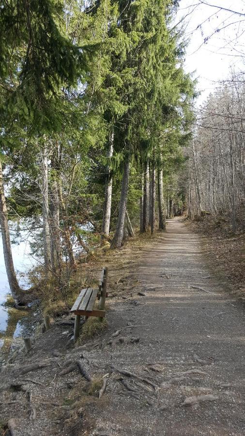 Fewo Friado Im Ferienpark Oa - Ohne Zusatzkosten Nach Anreise - Mit Hallenbad, W-Lan, Pkw-Garage, Kurtaxe Mit Allgaeu-Walser-Pass, Bett- Und Handtuch-Waesche Sowie End-Reinigung Missen-Wilhams Exterior photo